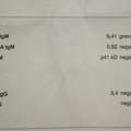 Borreliose Test Auswertung bitte