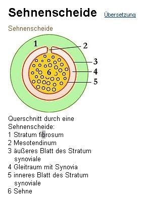 - (Behandlung, Entzündung, Handgelenk)