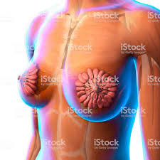 Knoten In Der Brust Spurbar Knoten In Der Brust Spurbar