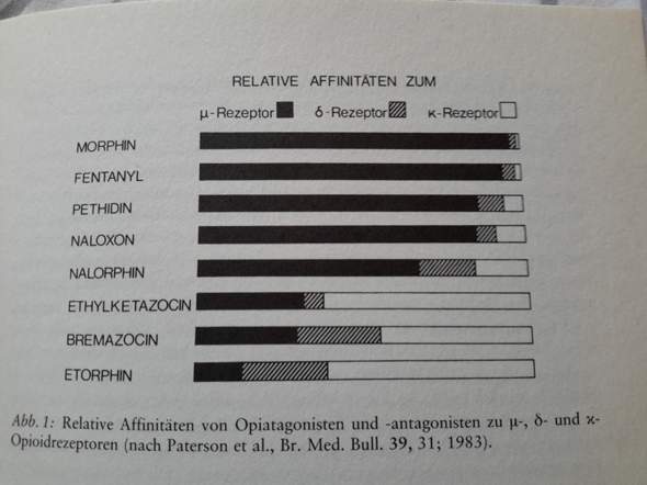 Bild zum Beitrag