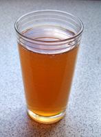- (Ernährung, Pilze, Kombucha)