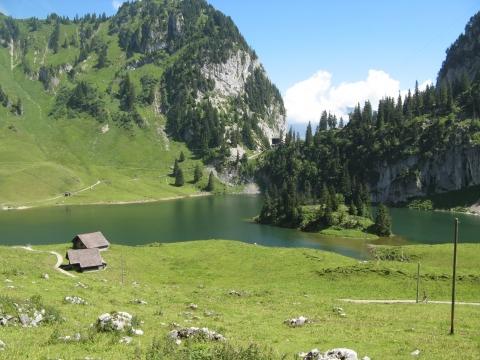 - (Psyche, Urlaub, kur)