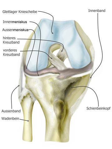 Knie 2 - (Sport, Knie, Verletzung)