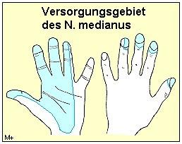 medianus - (Schmerzen, Arzt, Gesundheit)