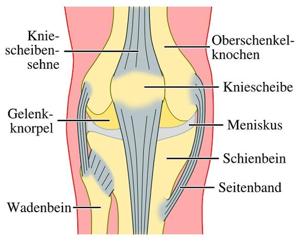 Knieproblem - (Schmerzen, Knie)