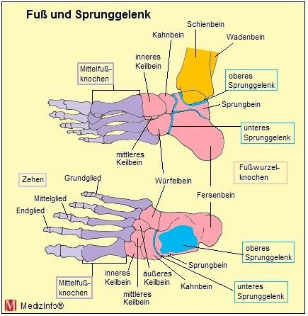 Fuss Bildquelle Medininfo.de - (Schmerzen, Füße, Krankenhaus)