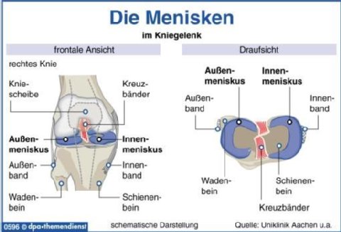 Kollateralband Knie Kollateralband Knie