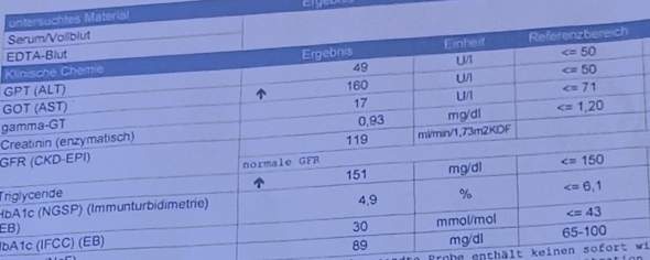 GOT (AST) Wert erhöht? (Blutwerte, Leber, Leberwerte)