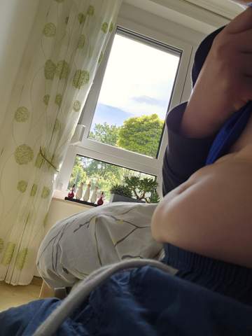 Bild zum Beitrag