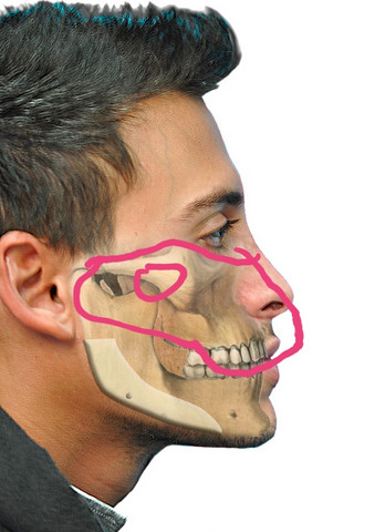 Druck Im Gesichtsbereich Zu Welchen Arzt Druck Im Gesichtsbereich Zu Welchen Arzt