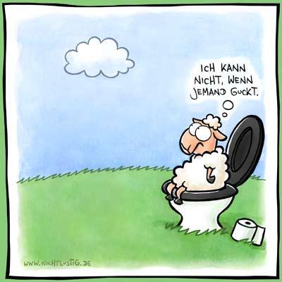 Etwas Peinliche Frage Mein Sohn 13 Kann Nicht Wenn Wir Woanders Als Zuhause Sind Auf Toilette Alter Stuhlgang Abfuhrmittel Etwas Peinliche Frage Mein Sohn 13 Kann Nicht Wenn Wir Woanders Als Zuhause Sind Auf Toilette Alter Stuhlgang Abfuhrmittel