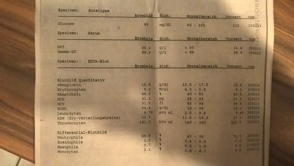 Kann mir jmd das Blutbild erklären? Ich habe keine ahnung was das heißt