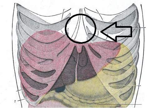 Krampf im Oberbauch. Was kann ich tun? (Magen, Bauch, Verdauung)