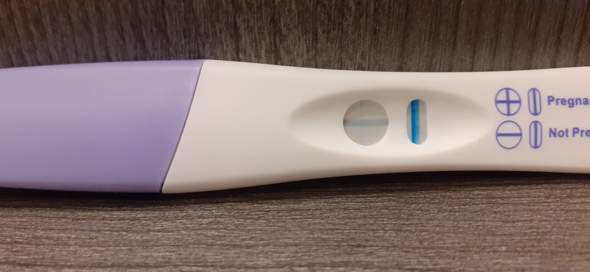 Schwangerschaftstest pregnafix - Vertrauen Sie dem Testsieger unserer Tester