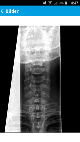 HWS1 - (Arzt, Gesundheit, Diagnose)