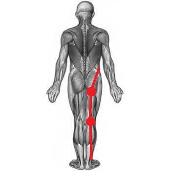 Schmerzverlauf (Anatomie des Menschen von hinten) - (Schmerzen, Knie, Leistenbruch)