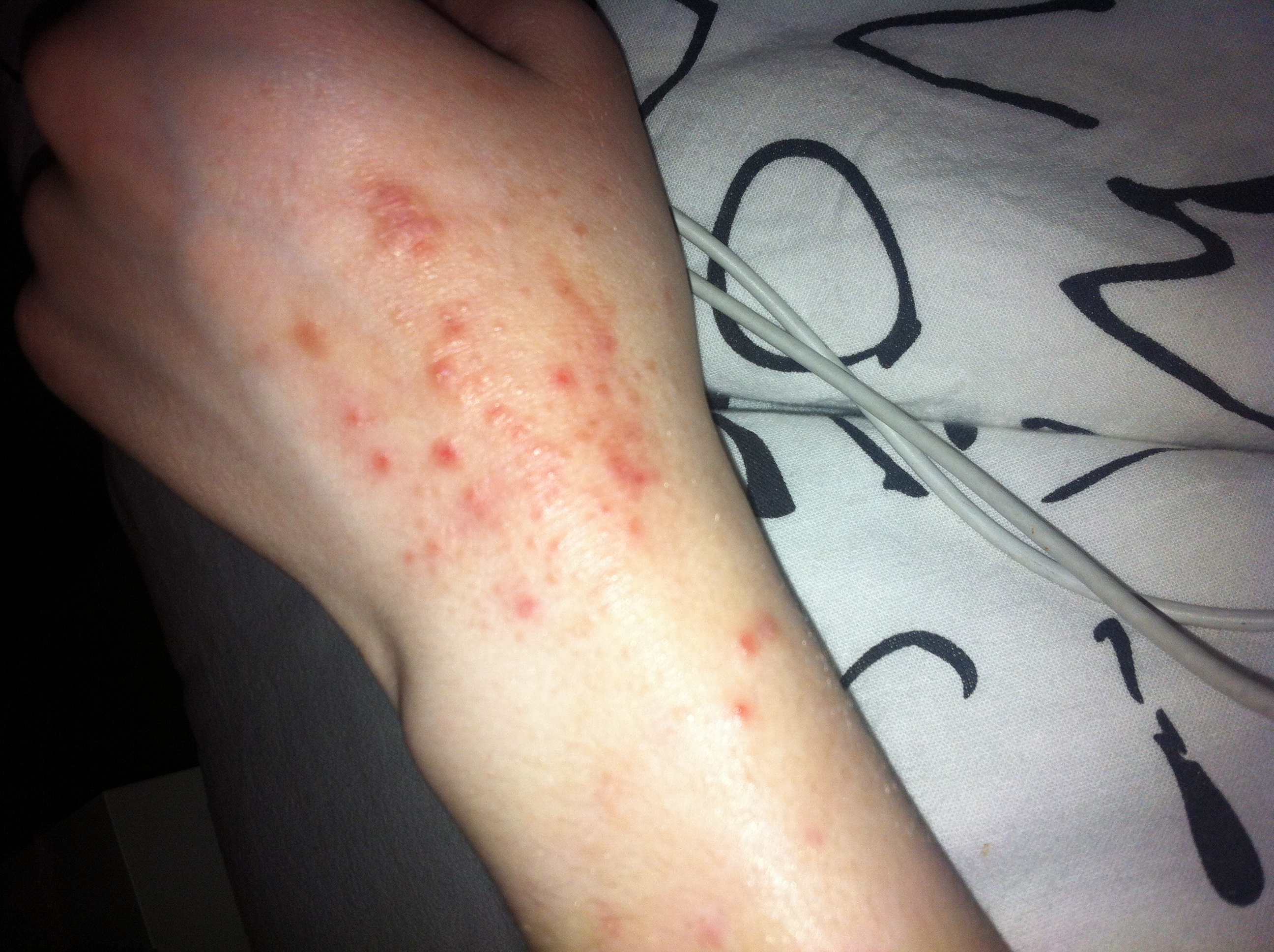 Bin verzweifelt Bin verzweifelt