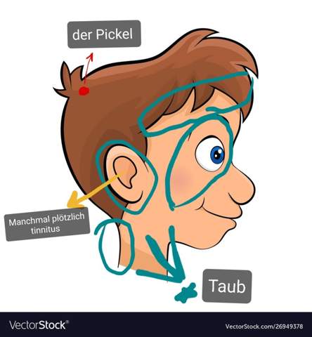 - (Gesundheit, Arzt, Medizin)