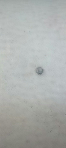 haut dermatologie gesund